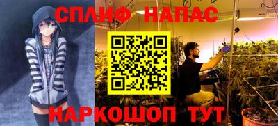 амф Краснодар