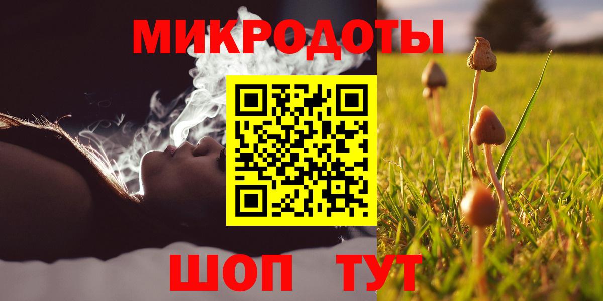 Псилоцибиновые грибы Psilocybine cubensis Холмск